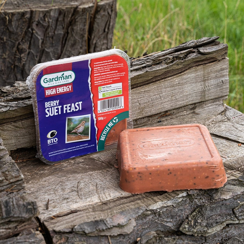 Suet Feasts 3 Pack