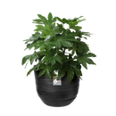 Fuente Rings 30cm Round Plastic Indoor & Outdoor Plant Pot - Onyx Black