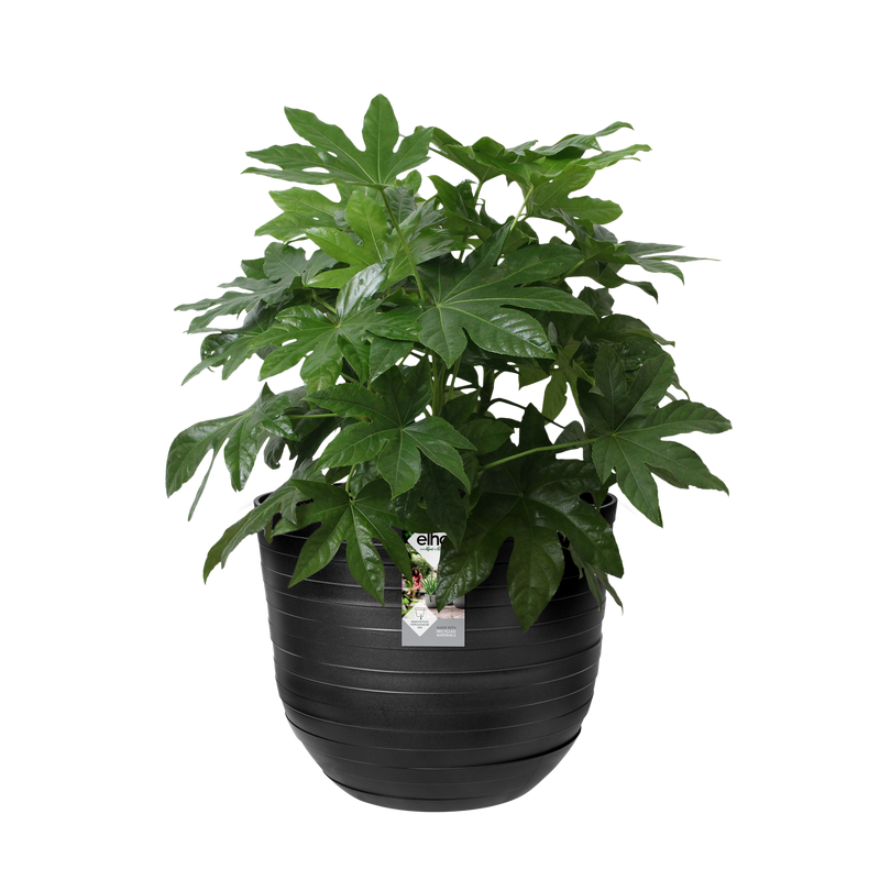 Fuente Rings 30cm Round Plastic Indoor & Outdoor Plant Pot - Onyx Black
