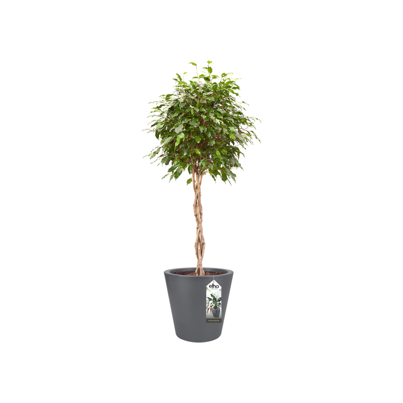 Pure 35cm Straight Round Plastic Indoor & Outdoor Plant Pot - Anthracite
