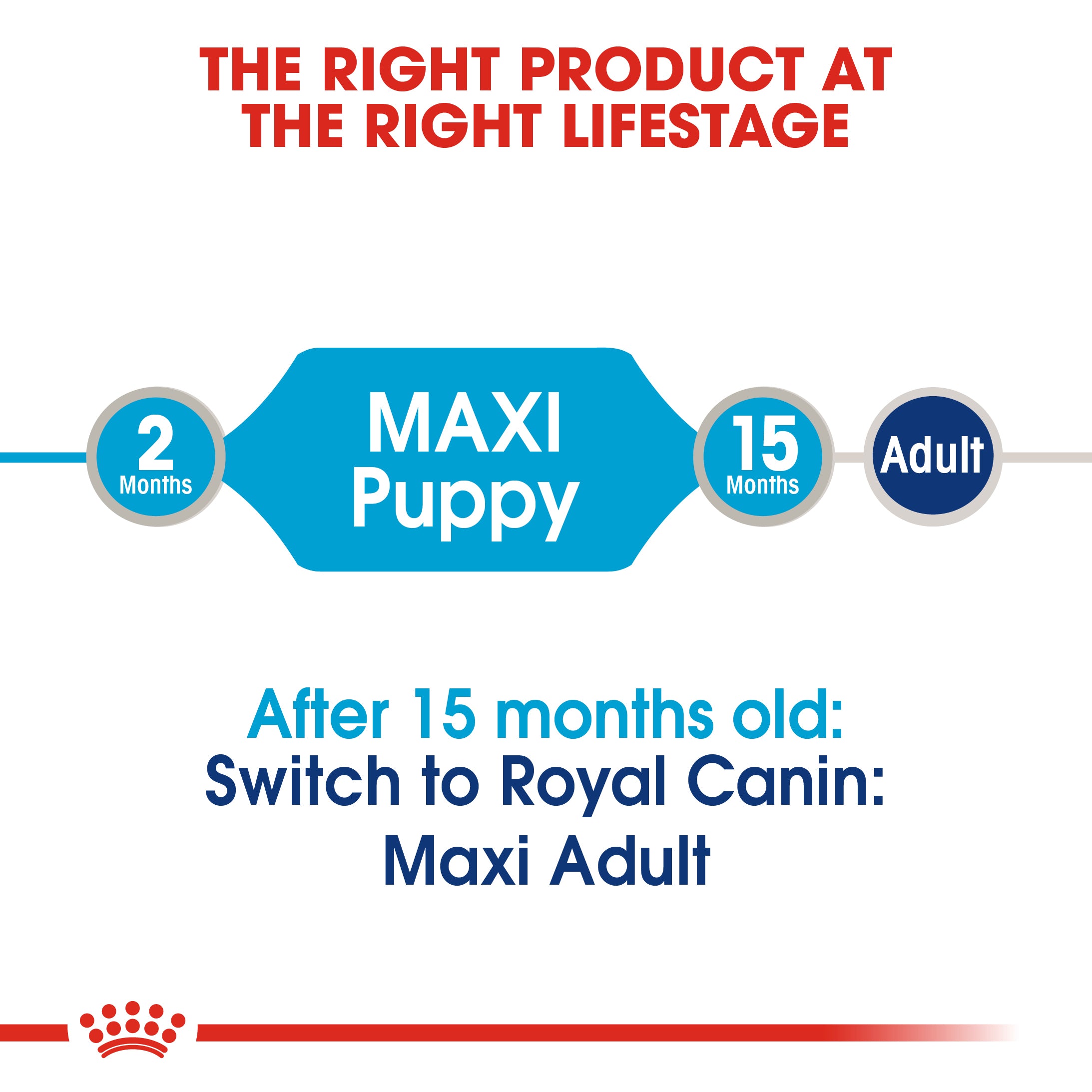 Royal Canin Maxi Puppy in Gravy Wet Food, 140g x 10 Pack