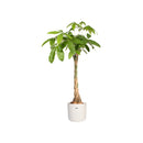 White B.for Soft Round Flowerpot - 22cm