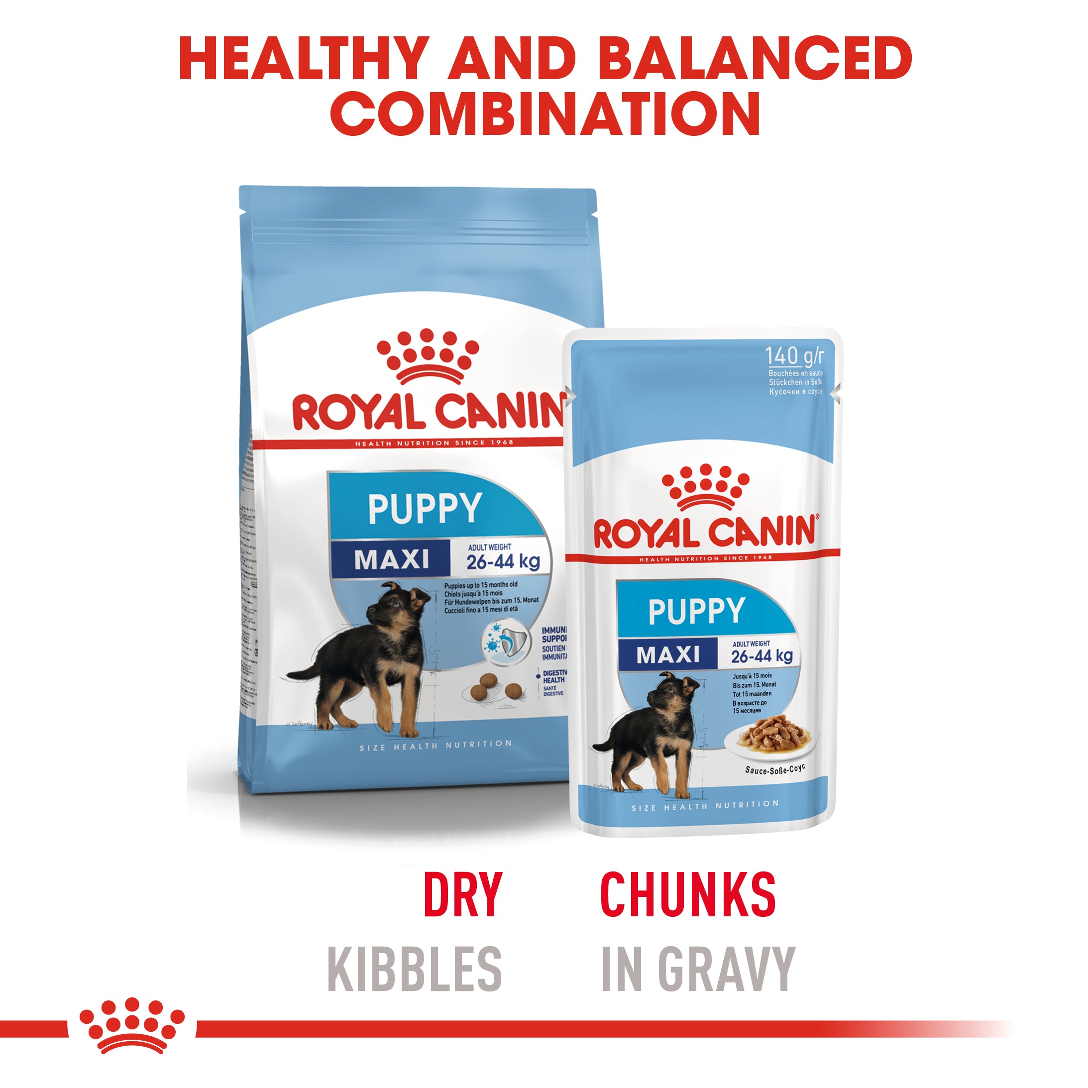 Royal Canin Maxi Puppy in Gravy Wet Food, 140g x 10 Pack