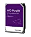 WD Purple Surveillance Hard Disk Drive, 1TB 64MB