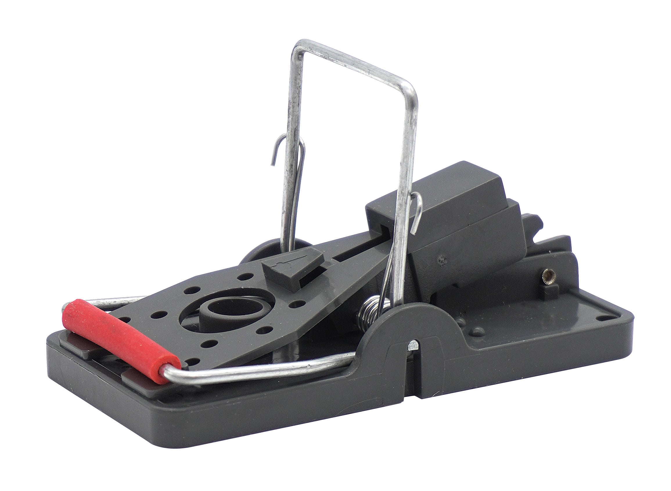 Advanced Reusable Mouse Trap - Single Pack