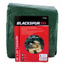 18' X 24' Tarpaulin, Green