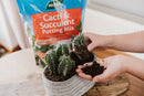 Cacti & Succulent Potting Mix - 4L