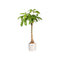 White B.for Soft Round Flowerpot - 30cm