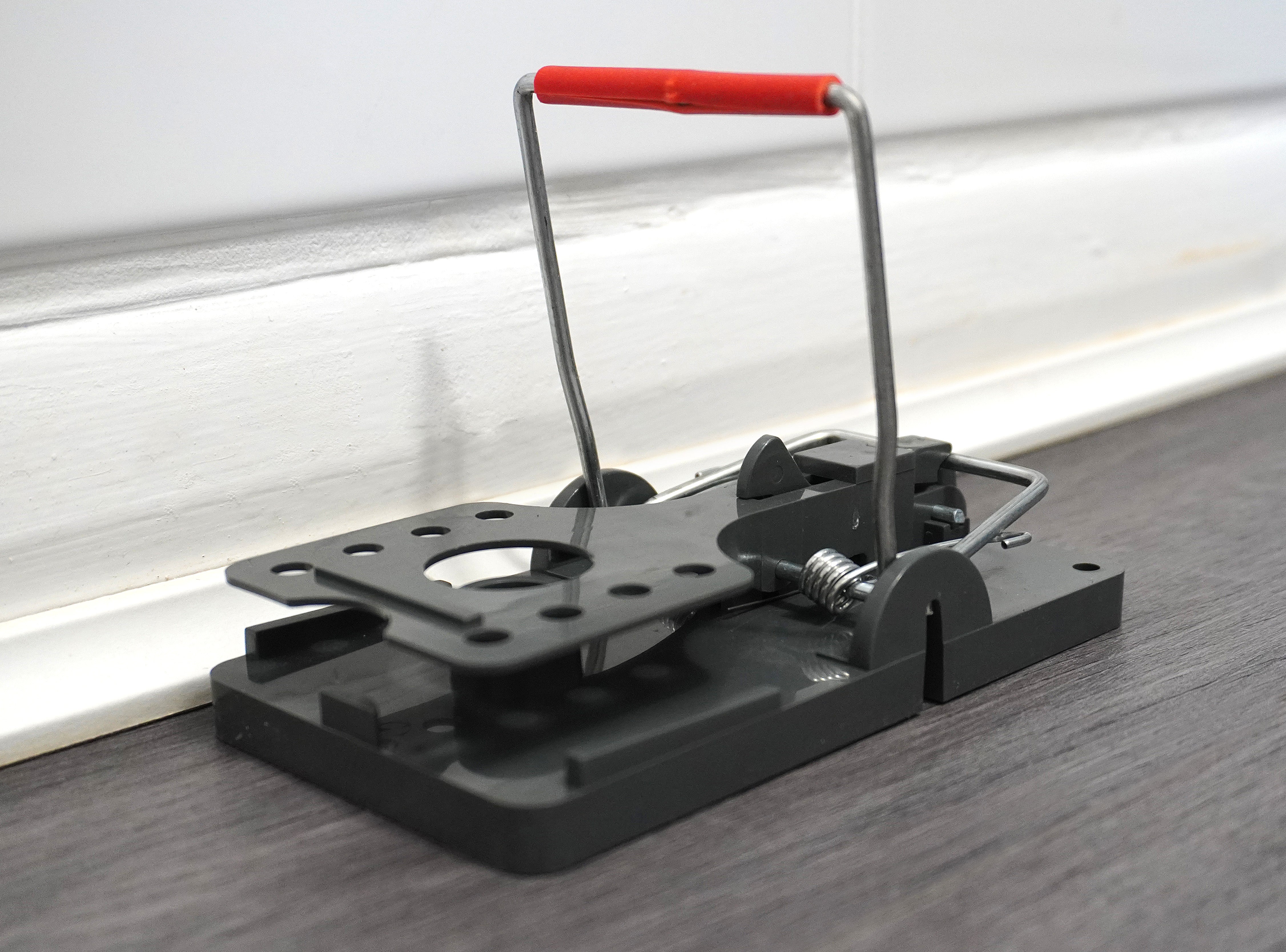 Advanced Reusable Rat Trap - Single Pack