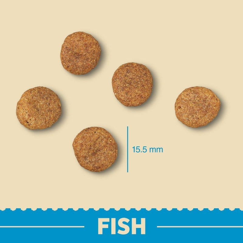 Complete Dry Small Breed Senior Grain Free - Fish - 1.5KG