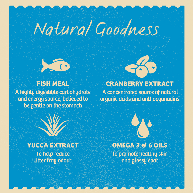 Adult Fish 300g