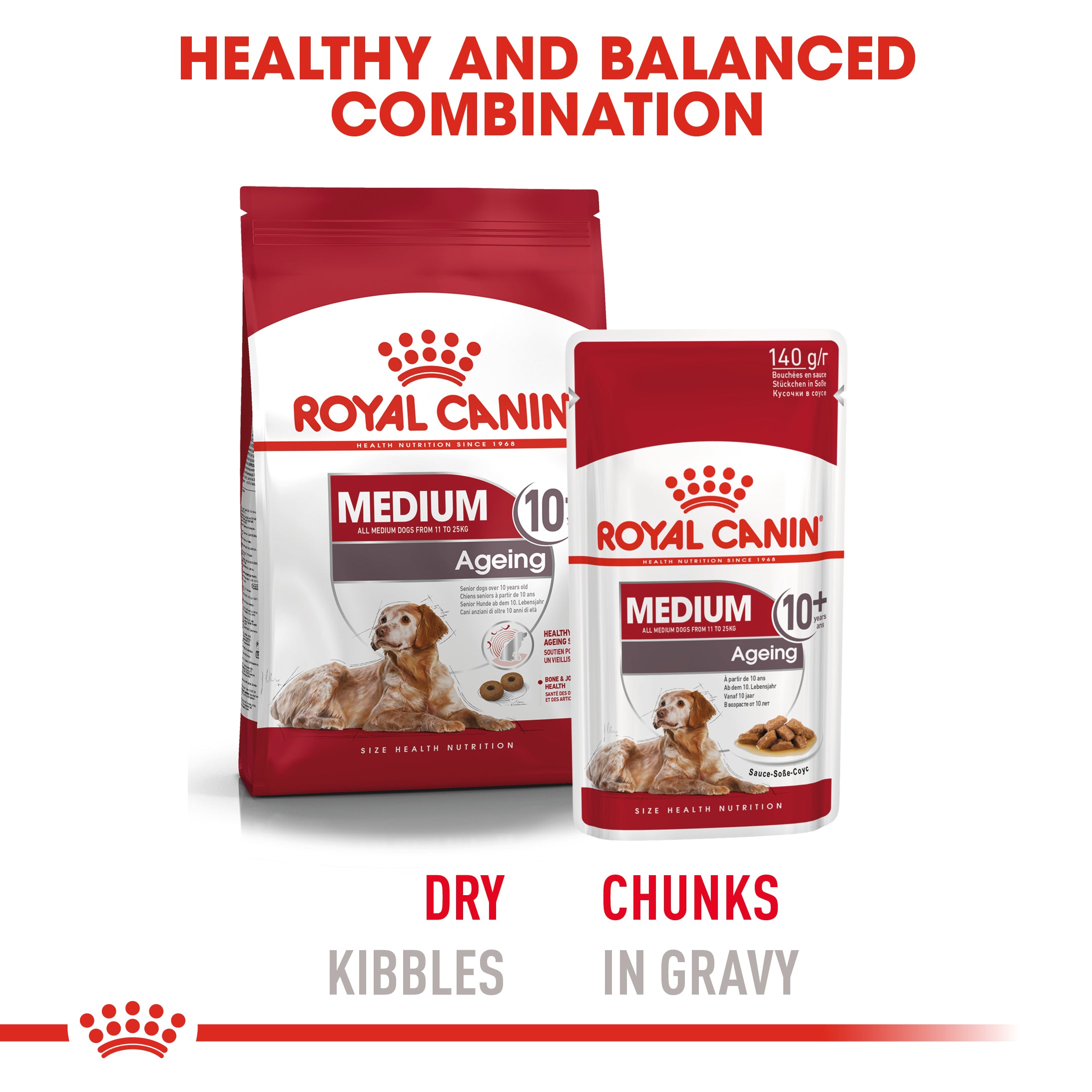 Medium Ageing 10+ Senior in Gravy Wet Dog Food, 140g x 10 Pack