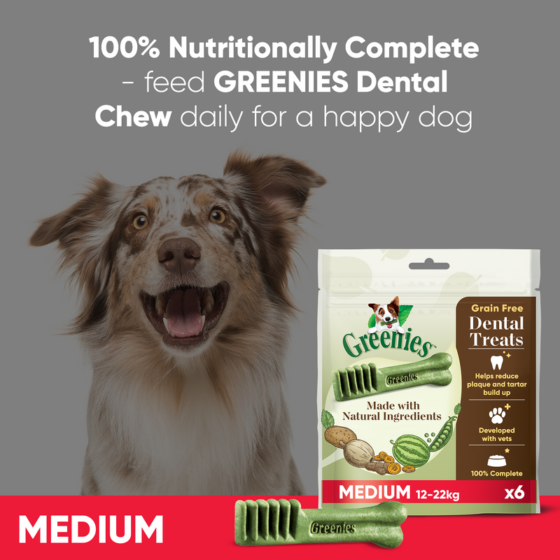 Grain Free Dog Dental Treats - Medium (12-22kg) - 170g