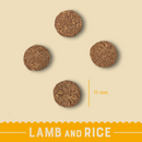 Complete Dry Light Adult Dog Food - Lamb & Rice - 1.5KG