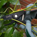 Bypass and Anvil Pruner Set