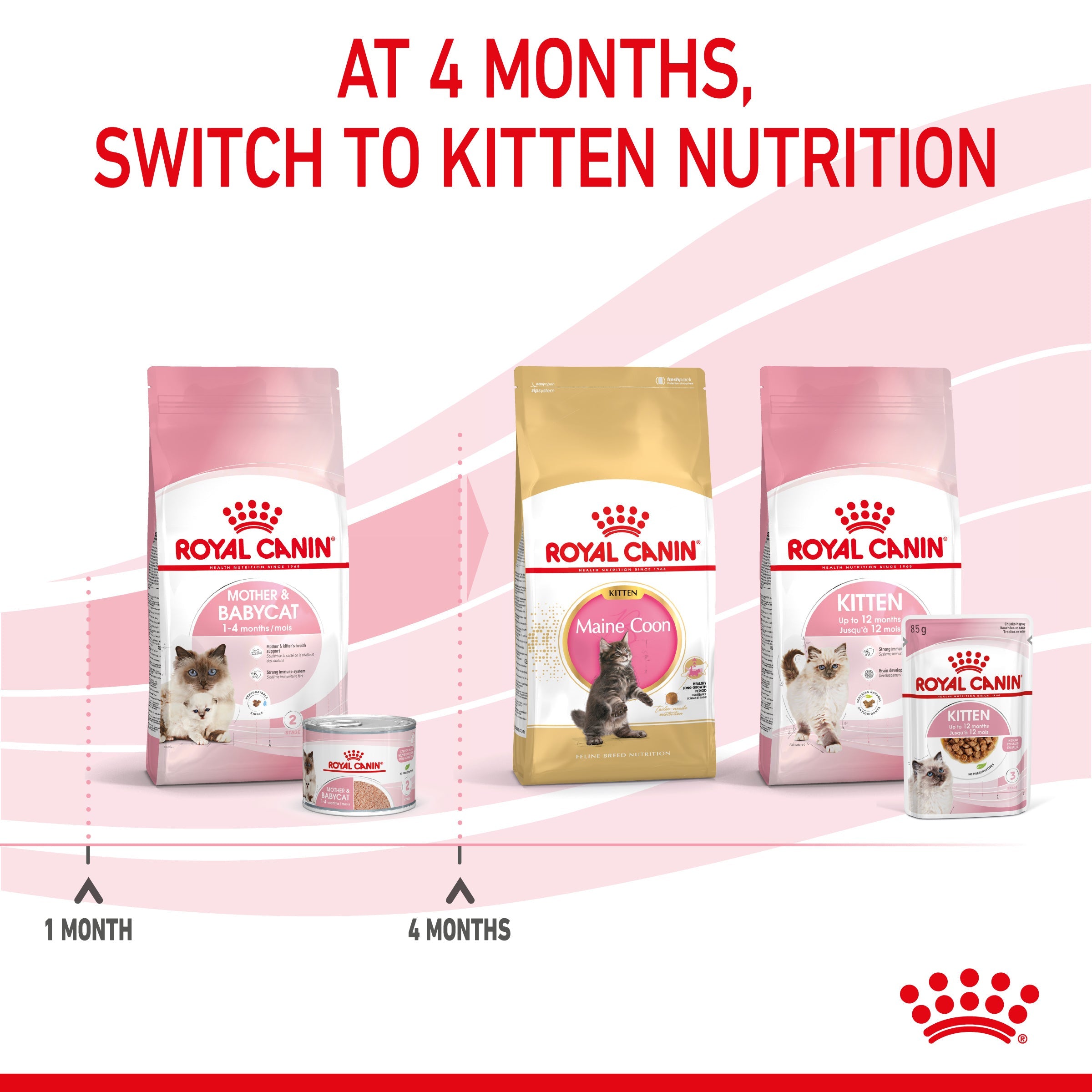Mother And Babycat Adult And Kitten Wet Food Mousse, 195g x 12 Pack