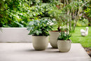 Fuente Lily 30cm Round Plastic Indoor & Outdoor Plant Pot - Pebble Grey