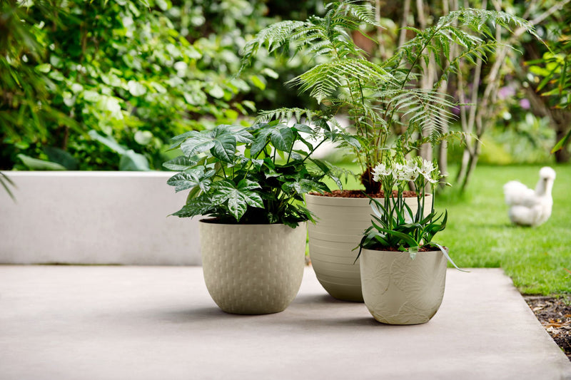 Fuente Lily 30cm Round Plastic Indoor & Outdoor Plant Pot - Pebble Grey