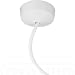 Pre Wired Plug in Ceiling Rose