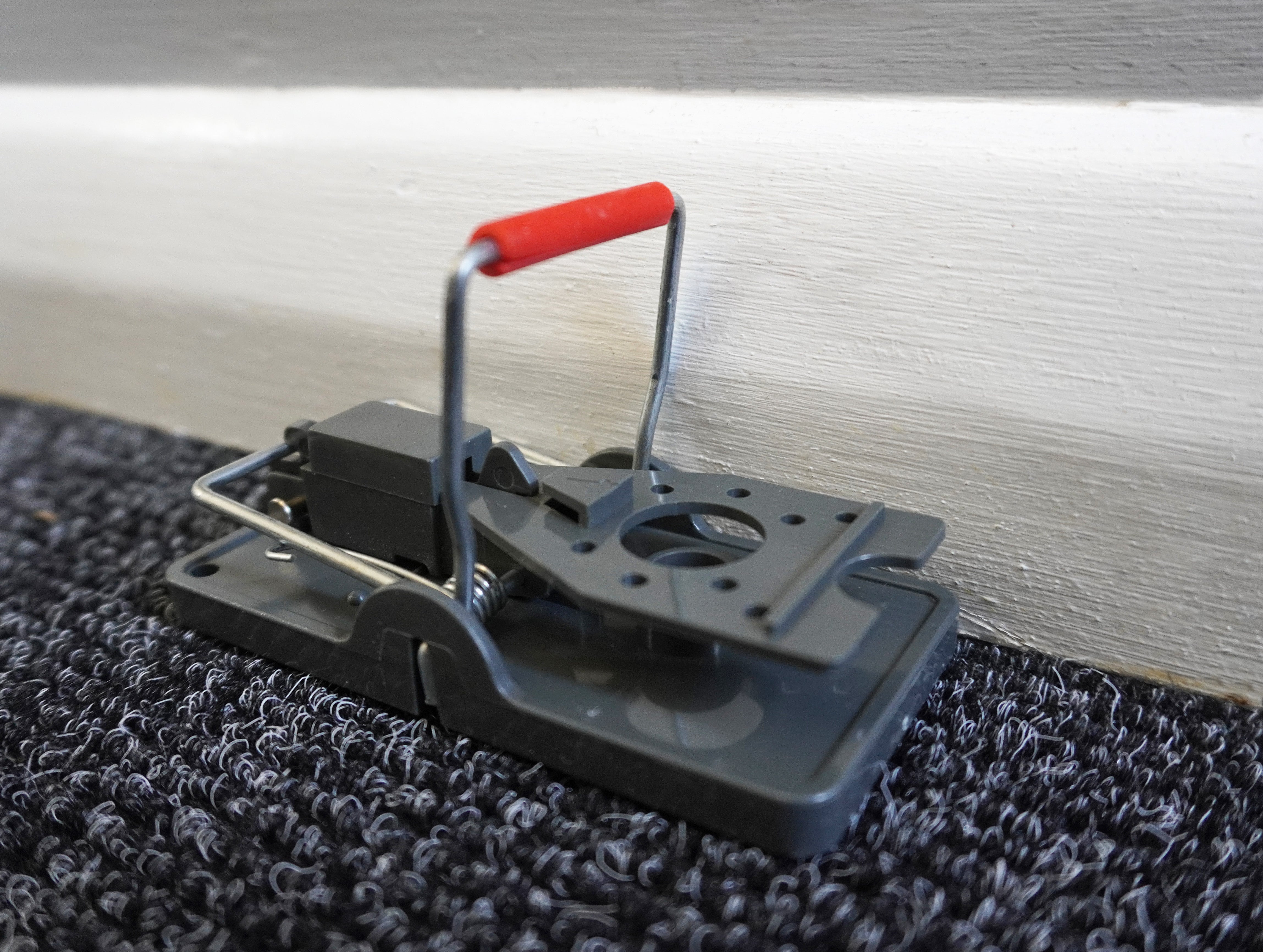 Advanced Reusable Mouse Trap - Single Pack