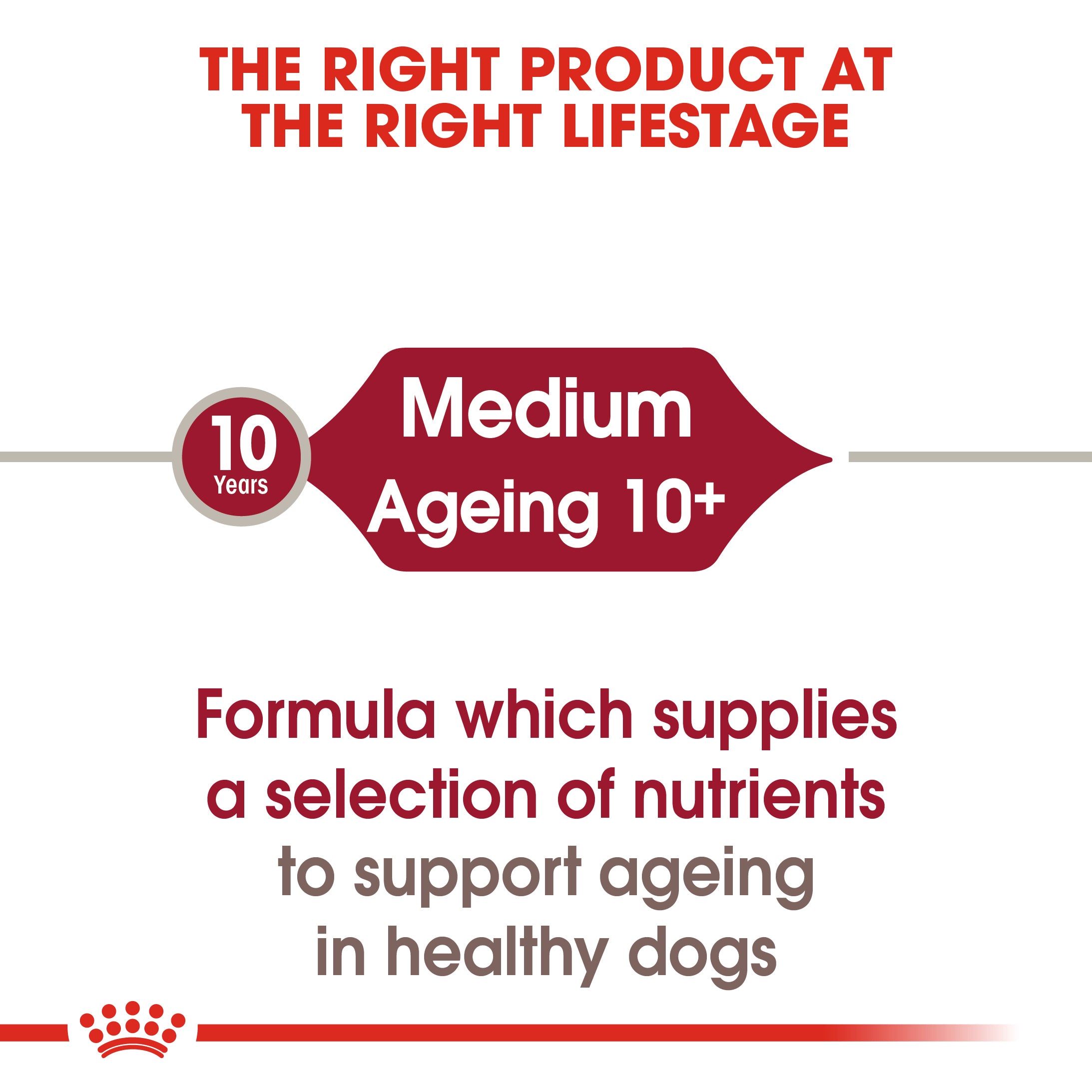 Medium Ageing 10+ Senior in Gravy Wet Dog Food, 140g x 10 Pack