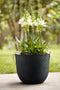 Fuente Grains 30cm Round Plastic Indoor & Outdoor Plant Pot - Onyx Black