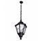 Black Noemi Traditional Garden Lantern w/ Chain