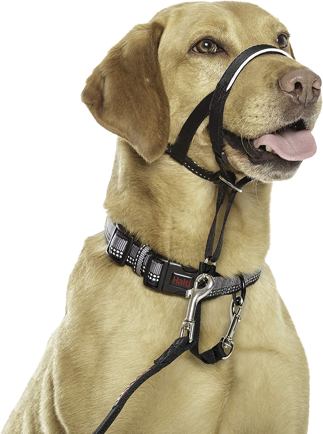 Dog Headcollar, Black, Size 4
