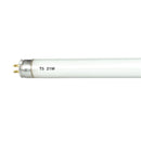 21W T5 34" Fluorescent Bulb