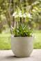Fuente Grains 30cm Round Plastic Indoor & Outdoor Plant Pot - Pebble Grey