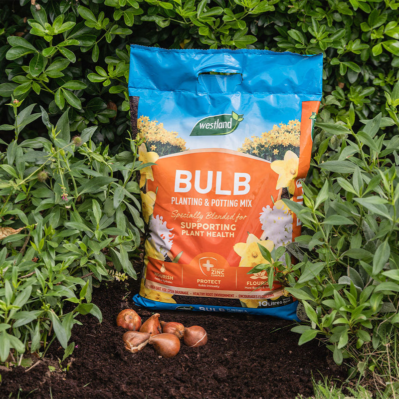 Bulb Planting & Potting Mix 10L