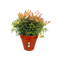 Loft Urban Round Wheels 40cm Pot - Brique