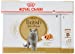 British Shorthair in Gravy Adult Wet Cat Food, 85g x 12 Pack