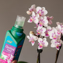 Orchid Feed Concentrate - 200ml