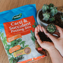 Cacti & Succulent Potting Mix - 4L