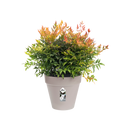 Loft Urban Round Wheels 60cm Pot - Anthracite