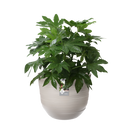 Fuente Rings 30cm Round Plastic Indoor & Outdoor Plant Pot - Pebble Grey