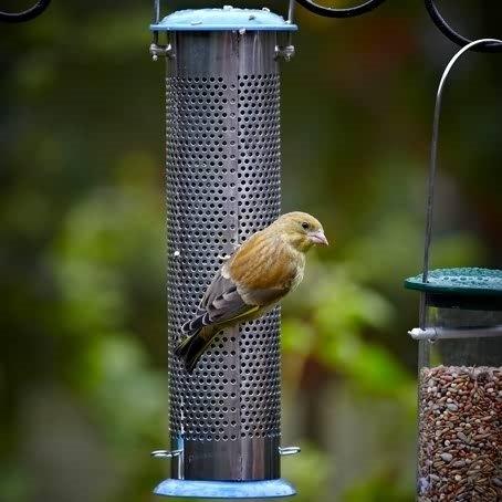 All Weather Large Nyjer Seed Feeder