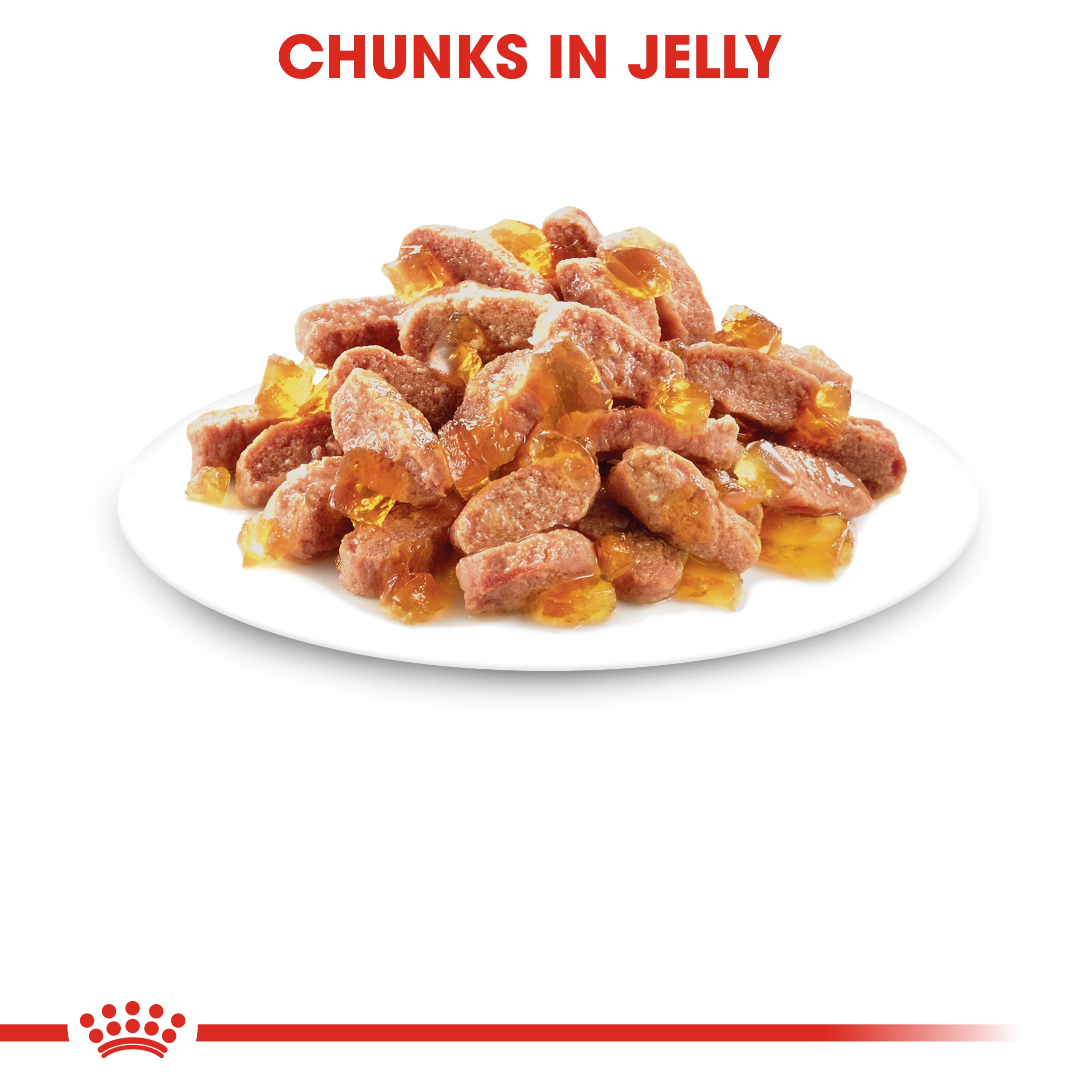 Kitten In Jelly Wet Food, 85g x 12 Pack