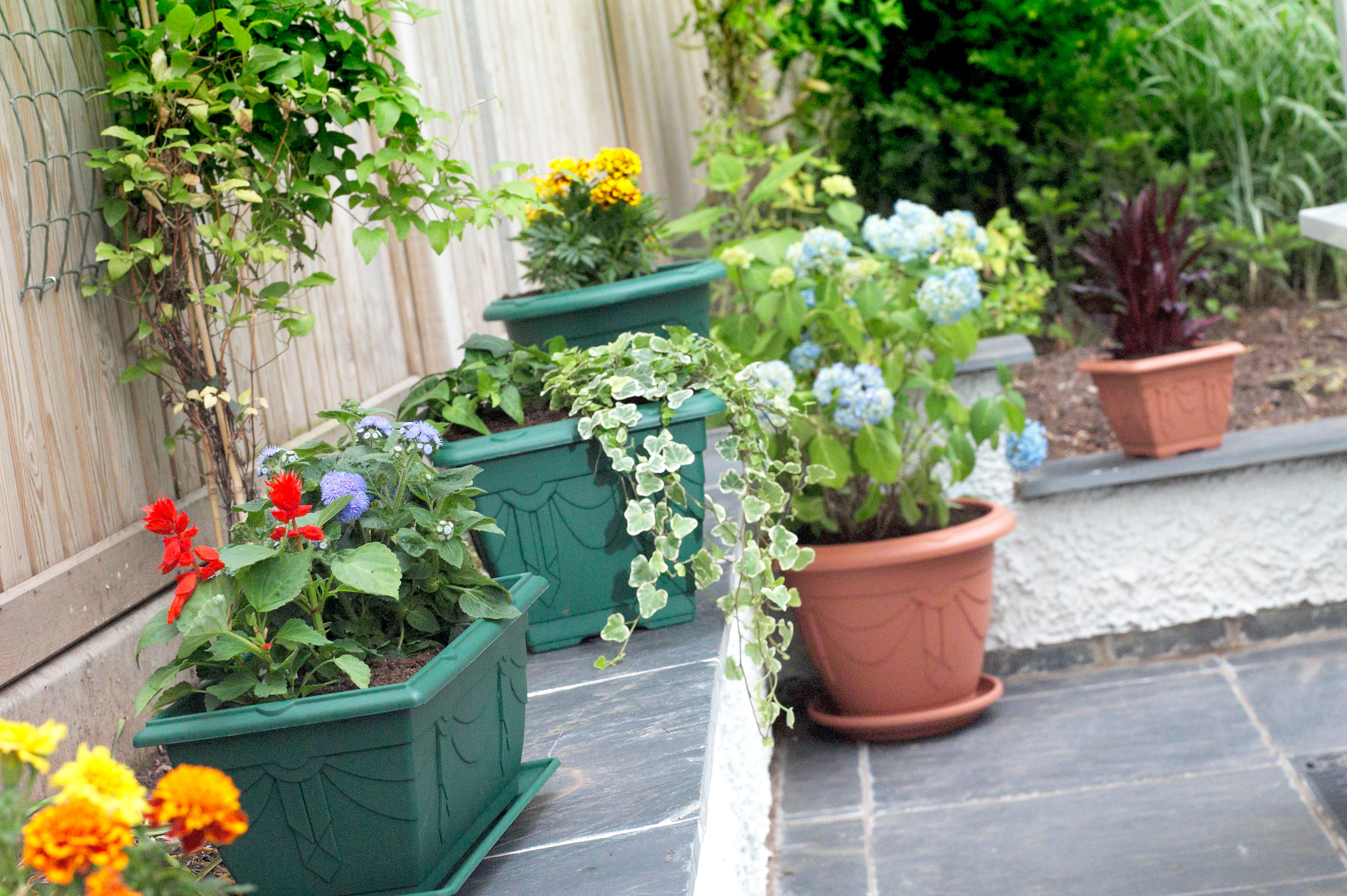 24cm Venetian Round Planter, Black
