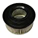 Ash Vac Replacement Air Filter