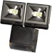 2 x 10W LED Compact PIR Floodlight - Black