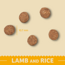 Complete Dry Lamb & Rice Puppy Food - 15KG