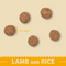 Complete Dry Lamb & Rice Puppy Food - 15KG
