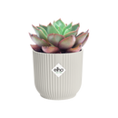 Vibes Fold 9cm Mini Round Plastic Indoor Plant Pot - Silky White