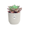 Vibes Fold 9cm Mini Round Plastic Indoor Plant Pot - Silky White