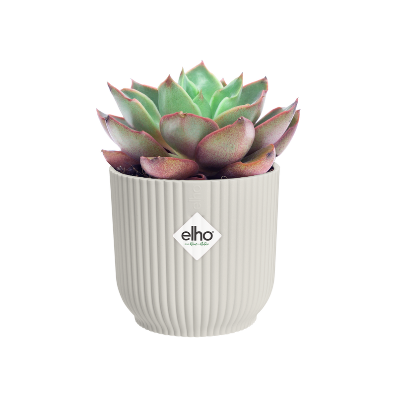 Vibes Fold 9cm Mini Round Plastic Indoor Plant Pot - Silky White