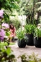 Fuente Rings 30cm Round Plastic Indoor & Outdoor Plant Pot - Onyx Black