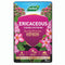 Ericaceous Planting & Potting Mix 25L