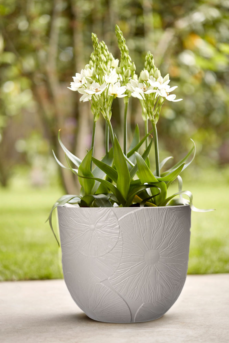 Fuente Lily 30cm Round Plastic Indoor & Outdoor Plant Pot - Pebble Grey